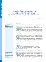 Trầm cảm ở phụ nữ mang thai và một số yếu tố liên quan tại huyện Đông Anh, thành phố Hà Nội