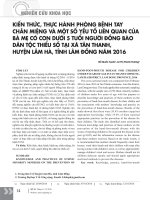Kiến thức, thực hành phòng bệnh tay chân miệng và một số yếu tố liên quan của bà mẹ có con dưới 5 tuổi người đồng bào dân tộc thiểu số tại xã Tân Thanh, huyện Lâm Hà, tỉnh Lâm