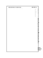 ĐÁNH GIÁ CÔNG CHỨC THUỘC DIỆN BAN THƯỜNG vụ HUYỆN ủy QUẢN lý tại HUYỆN MINH hóa, TÌNH QUẢNG BÌNH 