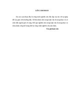 Phát triển dịch vụ thẻ tại ngân hàng đầu tư và phát triển việt nam   chi nhánh bắc hà nội 