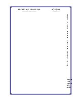 Quản lý nhà nước đối với hoạt động phật giáo nam tông ở tỉnh trà vinh 