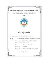 Kinh tế chính trị BTL đề tài CNH, HĐH ở Việt Nam