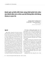 Nghiên cứu lâm sàng: Đánh giá sự biến đổi chức năng thất phải trên siêu âm đánh dấu mô cơ tim sau bít thông liên nhĩ bằng dụng cụ qua da