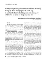 Nghiên cứu lâm sàng: Giá trị của phương pháp siêu âm Speckle Tracking trong dự đoán tắc động mạch vành cấp ở các bệnh nhân hội chứng vành cấp không ST chênh lên có phân số tống