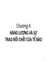 Bài giảng Sinh học đại cương (Phần 1): Chương 4 - ThS. Võ Thanh Phúc