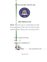 Thảo luận phân tích công cụ và thông điệp của chiến dịch truyền thông pepsi muối của pepsico thuộc ngành đồ uống có đường trên môi trường internet