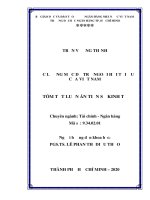 Tóm tắt luận án Tiến sĩ Kinh tế: Ước lượng mức dự trữ ngoại hối tối ưu của Việt Nam