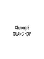 Bài giảng Sinh học đại cương (Phần 1): Chương 6 - ThS. Võ Thanh Phúc