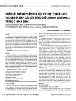 Khảo sát thành phần hóa học và hoạt tính kháng vi sinh của tinh dầu cây Húng quế (Ocimum basilicum L.) trồng ở Bình Định