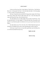 (Luận án tiến sĩ) Nghiên cứu chế tạo vật liệu nanocompozit có khả năng hấp thụ sóng điện từ và chống đạn