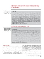 Kết hợp xương mâm chày với sự hỗ trợ của nội soi