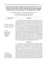 Ảnh hưởng của bằng tốt nghiệp đại học hình thức đào tạo Từ xa, Vừa làm Vừa học đến việc làm và tiền lương của sinh viên ngành Luật kinh tế tại Trường Đại học Mở Thành phố Hồ Chí