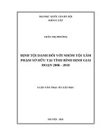 Định tội danh với nhóm tội xâm phạm sở hữu tại tỉnh bình định giai đoạn 2006   2010 