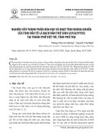 Nghiên cứu thành phần hóa học và hoạt tính kháng khuẩn của tinh dầu từ lá bạch đàn thứ sinh (Eucalyptus) tại thành phố Việt Trì, tỉnh Phú Thọ