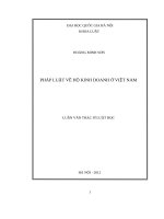 Pháp luật về hộ kinh doanh ở việt nam 