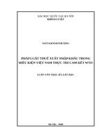 Pháp luật thuế xuất nhập khẩu trong điều kiện việt nam thực thi cam kết WTO luận văn ths  luật 60 38 50 
