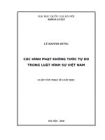 Các hình phạt không tước tự do trong luật hình sự việt nam001 