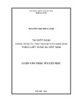 Tội giết người trong trạng thái tinh thần bị kích động mạnh theo luật hình sự việt nam 