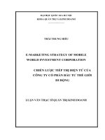 E marketing strategy of mobile world investment corporation = chiến lược tiếp thị điện tử của công ty cổ phần đầu tư thế giới di động  