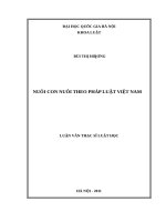 Nuôi con nuôi theo pháp luật việt nam 