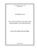 Pháp luật về quyền tự do ngôn luận trên internet ở việt nam hiện nay 