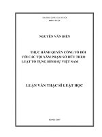 Thực hành quyền công tố đối với các tội xâm phạm sở hữu theo luật tố tụng hình sự việt nam  