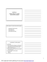 Bài giảng môn học Thị trường chứng khoán: Chương 2 - ThS. Trần Phương Thảo