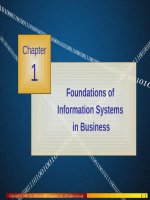 Lecture Management information systems (9/e) – Chapter 1: Foundations of information systems in business