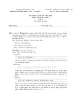 Đề thi cuối học kỳ hè năm học 2018-2019 môn Tin học cơ sở 4 (Đề 1) - ĐH Khoa học Tự nhiên