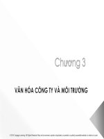 Bài giảng Quản trị học - Chương 3: Văn hóa công ty và môi trường