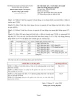 Đề thi học kỳ II năm học 2019-2020 môn Kỹ thuật phân tích vật liệu - ĐH Sư phạm Kỹ thuật