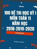 100 đề thi học kỳ 1 toán 11 năm 2018,2019,2020 có đáp án 