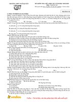 Đề kiểm tra giữa học kì 2 môn Vật lý 12 năm học 2018-2019 – Trường THPT Ngô Quyền (Mã đề 121)