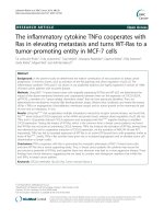 The inflammatory cytokine TNFα cooperates with Ras in elevating metastasis and turns WT-Ras to a tumor-promoting entity in MCF-7 cells