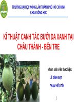 Bài thuyết trình Kĩ thuật canh tác bưởi da xanh tại Châu Thành - Bến Tre