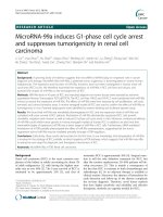 MicroRNA-99a induces G1-phase cell cycle arrest and suppresses tumorigenicity in renal cell carcinoma