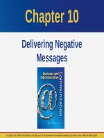 Lecture Business and administrative communication: Chapter 10 - Kitty O. Locker, Donna S. Kienzler