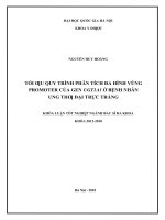 Tối ưu quy trình phân tích đa hình vùng promoter của gen UGT1A1 ở bệnh nhân ung thư đại trực tràng001 