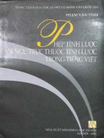 Ngữ trực thuộc tỉnh lược và phép tỉnh lược trong tiếng Việt: Phần 1
