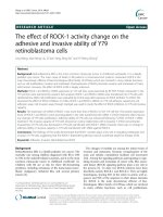 The effect of ROCK-1 activity change on the adhesive and invasive ability of Y79 retinoblastoma cells