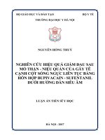 (Luận án tiến sĩ) Nghiên cứu hiệu quả giảm đau sau mổ thận   niệu quản của gây tê cạnh cột sống ngực liên tục bằng hỗn hợp bupivacain   sufentanil dưới hướng dẫn siêu âm