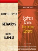 Lecture Business driven information systems (4/e): Chapter 7 - Paige Baltzan
