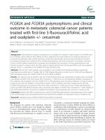 FCGR2A and FCGR3A polymorphisms and clinical outcome in metastatic colorectal cancer patients treated with first-line 5-fluorouracil/folinic acid and oxaliplatin +/- cetuximab