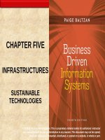 Lecture Business driven information systems (4/e): Chapter 5 - Paige Baltzan
