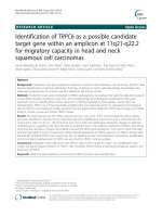 Identification of TRPC6 as a possible candidate target gene within an amplicon at 11q21-q22.2 for migratory capacity in head and neck squamous cell carcinomas