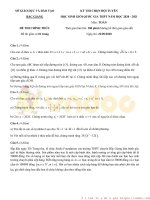 Đề thi chọn học sinh giỏi tham gia đội tuyển cấp quốc gia môn Toán lớp 12 năm học 2020-2021 – Sở Giáo dục và Đào tạo Bắc Giang (Đề chính thức)