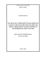 Xây dựng quy trình phân tích đa hình gen cyp2c93 liên quan đến đáp ứng điều trị thuốc chống đông acenocoumarol ở người bệnh sau thay van tim 