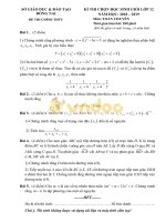 Đề thi học sinh giỏi môn Toán lớp 12 năm học 2018-2019 – Sở Giáo dục và Đào tạo Đồng Nai (Đề chính thức)