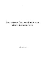 Tiểu luận Ứng dụng công nghệ lên men sản xuất nem chua