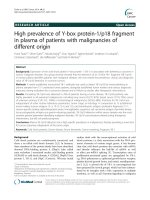 High prevalence of Y-box protein-1/p18 fragment in plasma of patients with malignancies of different origin